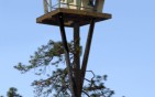 Tree House Tree House