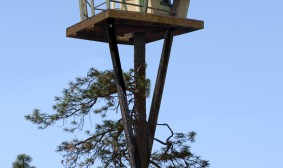 Tree House Tree House