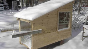 Deek's Micro Cabin