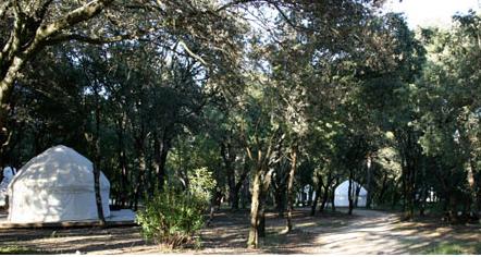 canvas-nomadic-yurts-3 canvas-nomadic-yurts-3