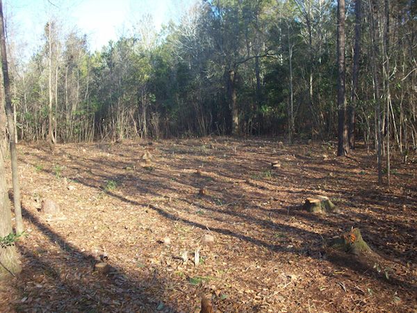 clearing-land-for-tiny-house-on-a-trailer clearing land for tiny house on a trailer Young Family Adopts Simple, Tiny House Living Lifestyle