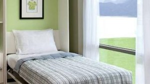 contemporary-murphy-bed contemporary-murphy-bed