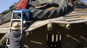 Dancing Rabbit residents helping Ziggy with his roof.