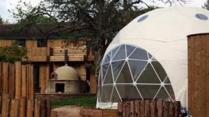 dome-garden dome-garden