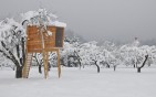 free-standing-tree-house-01 Free Standing Modern Tree House