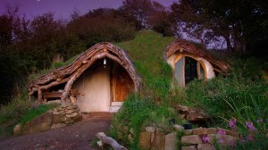Tiny Natural Sustainable Homes by Simon Dale