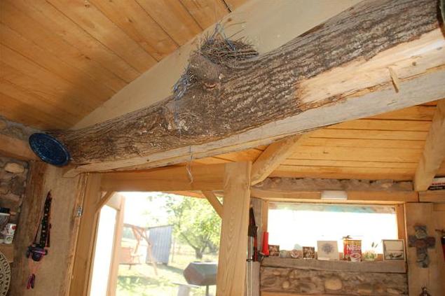 inside-the-wee-house inside-the-wee-house