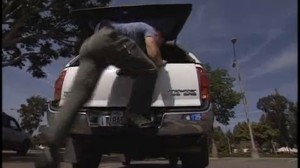 How to Become Debt Free by Living in a Truck