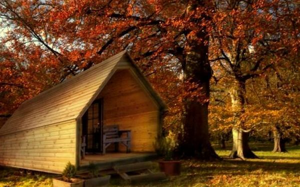 log-pod-tiny-cabin-12 log pod tiny cabin 12 The Log Pod Tiny Cabin