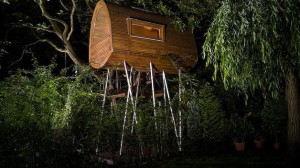 Modern Tree House