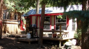 nanci-tiny-cabin-01 Nanci's Tiny Cabin and Downsizing Story