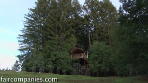 observation-tower-treehouse-slash-tiny-house Tiny House Legalized as Observation Tower on Stilts, Creative!
