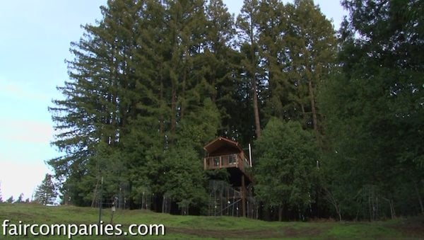 observation tower treehouse slash tiny house   Tiny House Legalized as Observation Tower