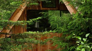 simple-japanese-inspired-tiny-house-zen-cabin-in-the-woods-01 Simple, Japanese Inspired Tiny House / Zen Cabin in the Woods