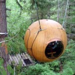 Sphere Tree House