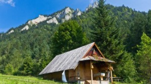 things-to-consider-before-moving-into-a-tiny-house-cabin-in-the-mountains-woods Things to Consider Before Moving into a Tiny House or Cabin in the Mountains or Woods