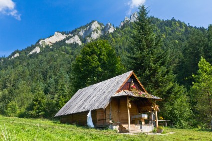 things-to-consider-before-moving-into-a-tiny-house-cabin-in-the-mountains-woods Things to Consider Before Moving into a Tiny House or Cabin in the Mountains or Woods