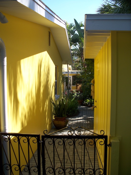 Yard View