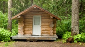 Tiny Log Cabin in the Woods