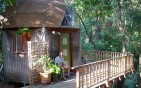 tiny-mushroom-dome-cabin tiny-mushroom-dome-cabin