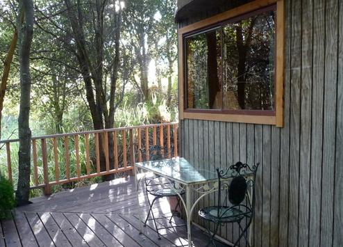 tiny-mushroom-dome-cabin-deck