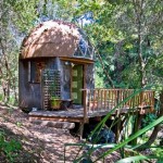 Tiny Mushroom Dome Cabin