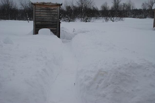 wee-wee-house wee-wee-house